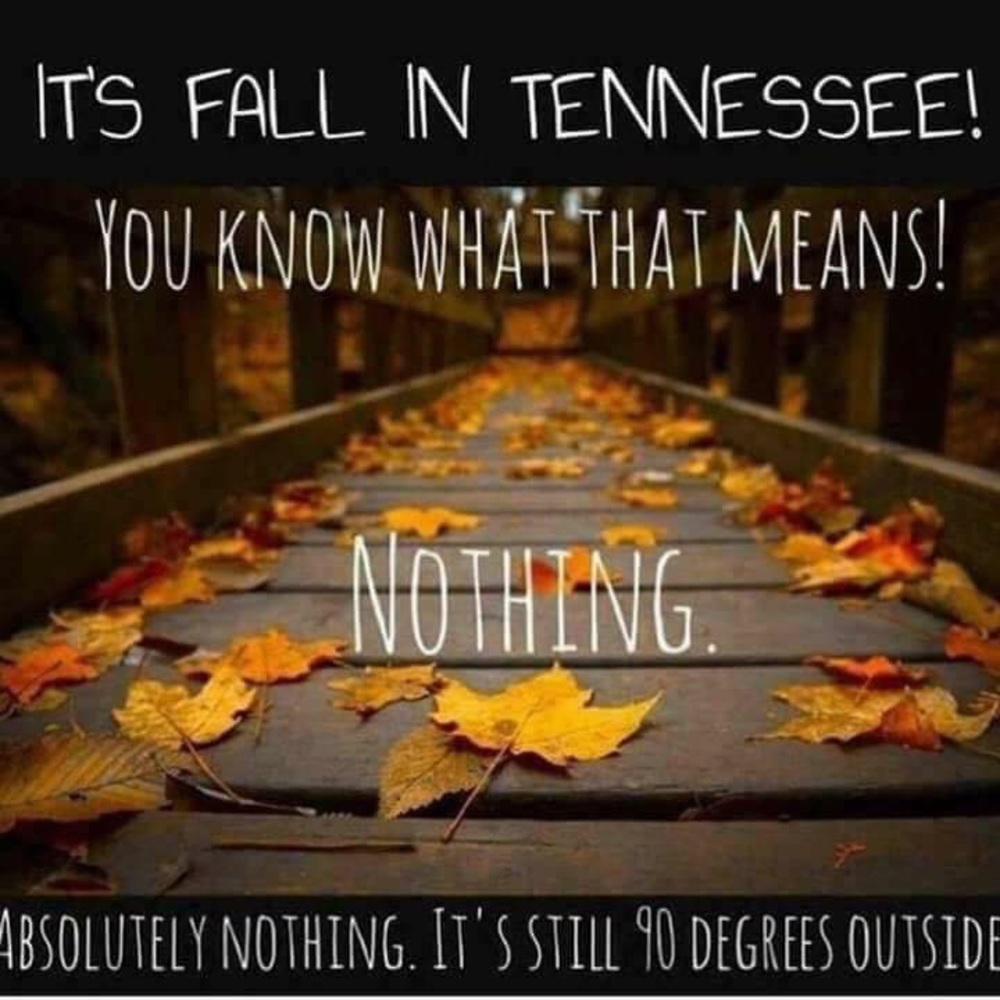 Louis Vuitton Estrella